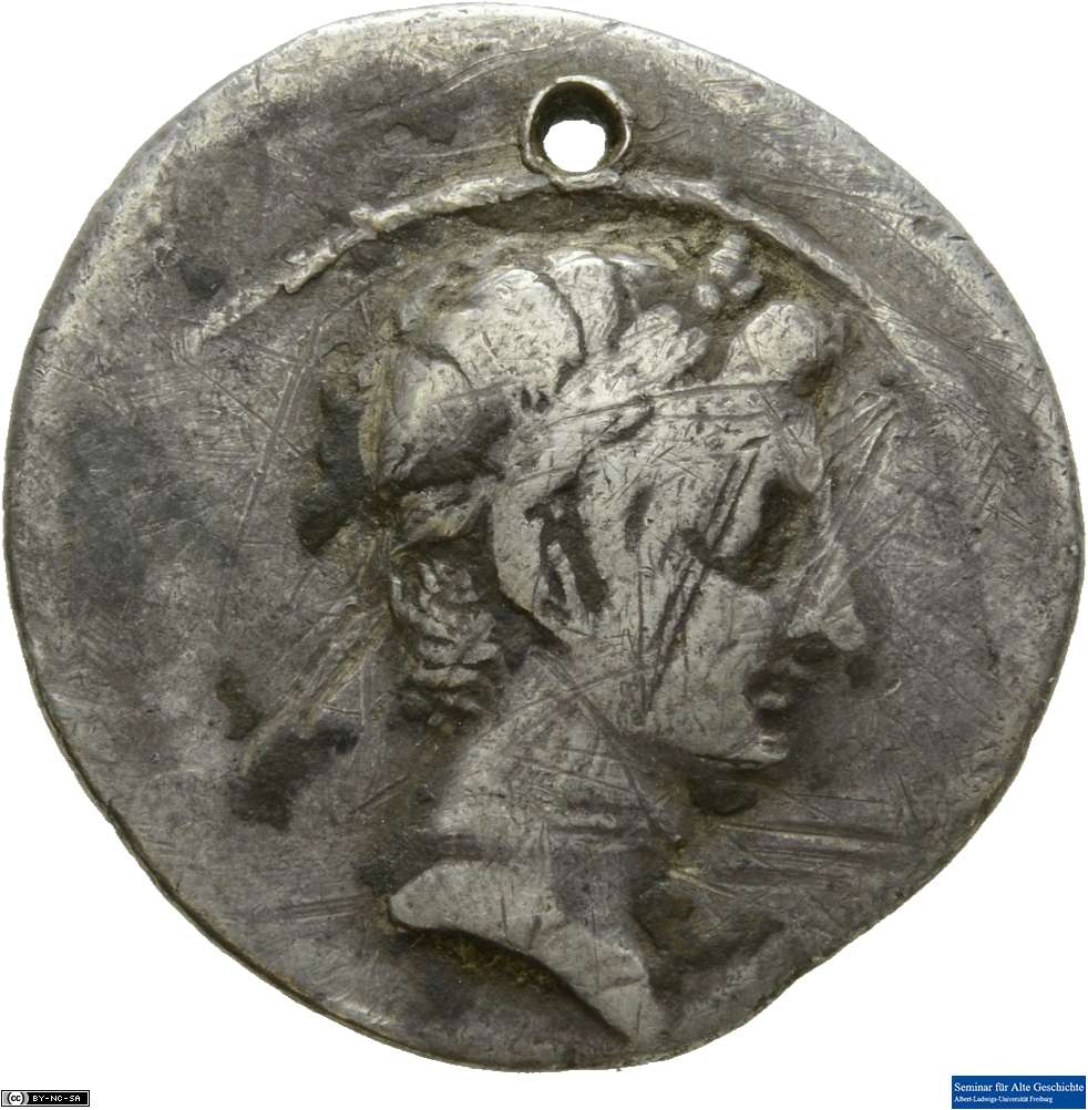 Kopf des Octavian nach rechts mit Lorbeerkranz (Avers)